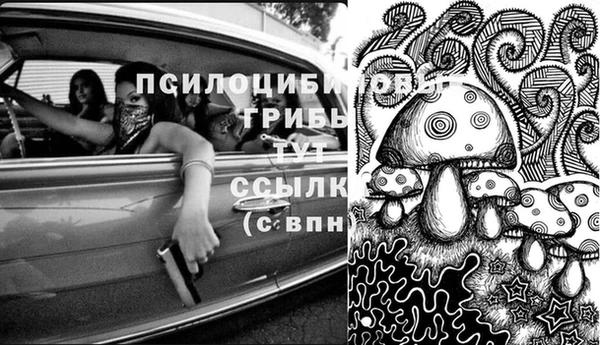 СК Абаза