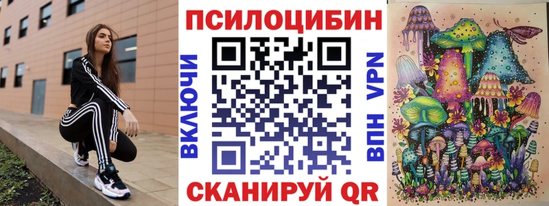 площадка официальный сайт  Богородицк  Псилоцибиновые грибы прущие грибы 